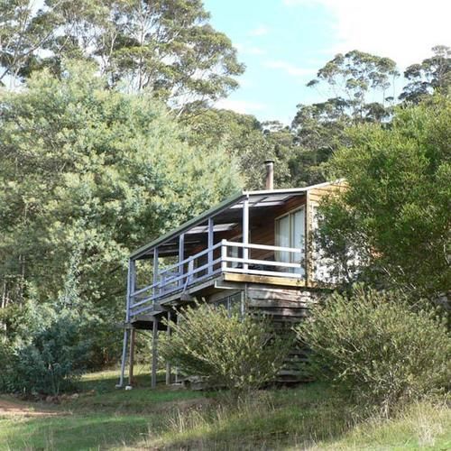 Bombina Lodge *